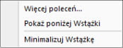 Elementy składowe programu - Ekran główny - Program do wystawiania faktur vat